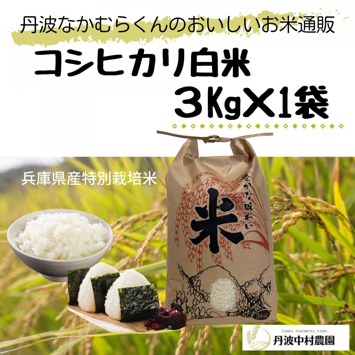 【コシヒカリ3㎏選べる精米歩合】令和5年産米/つきたて直送/≪兵庫