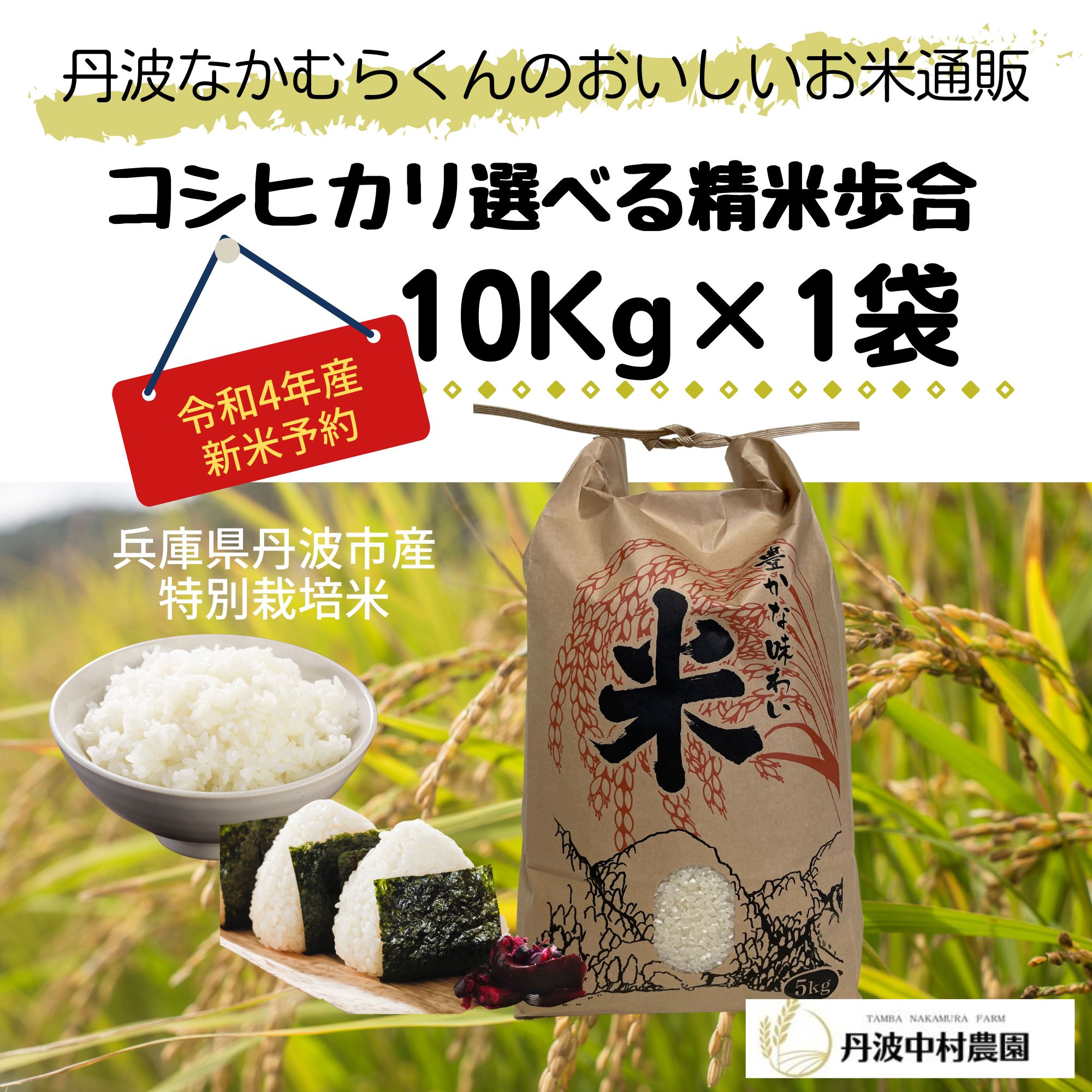 鳥取県産　ひとめぼれ　10キロ（令和５年新米）玄米対応可能