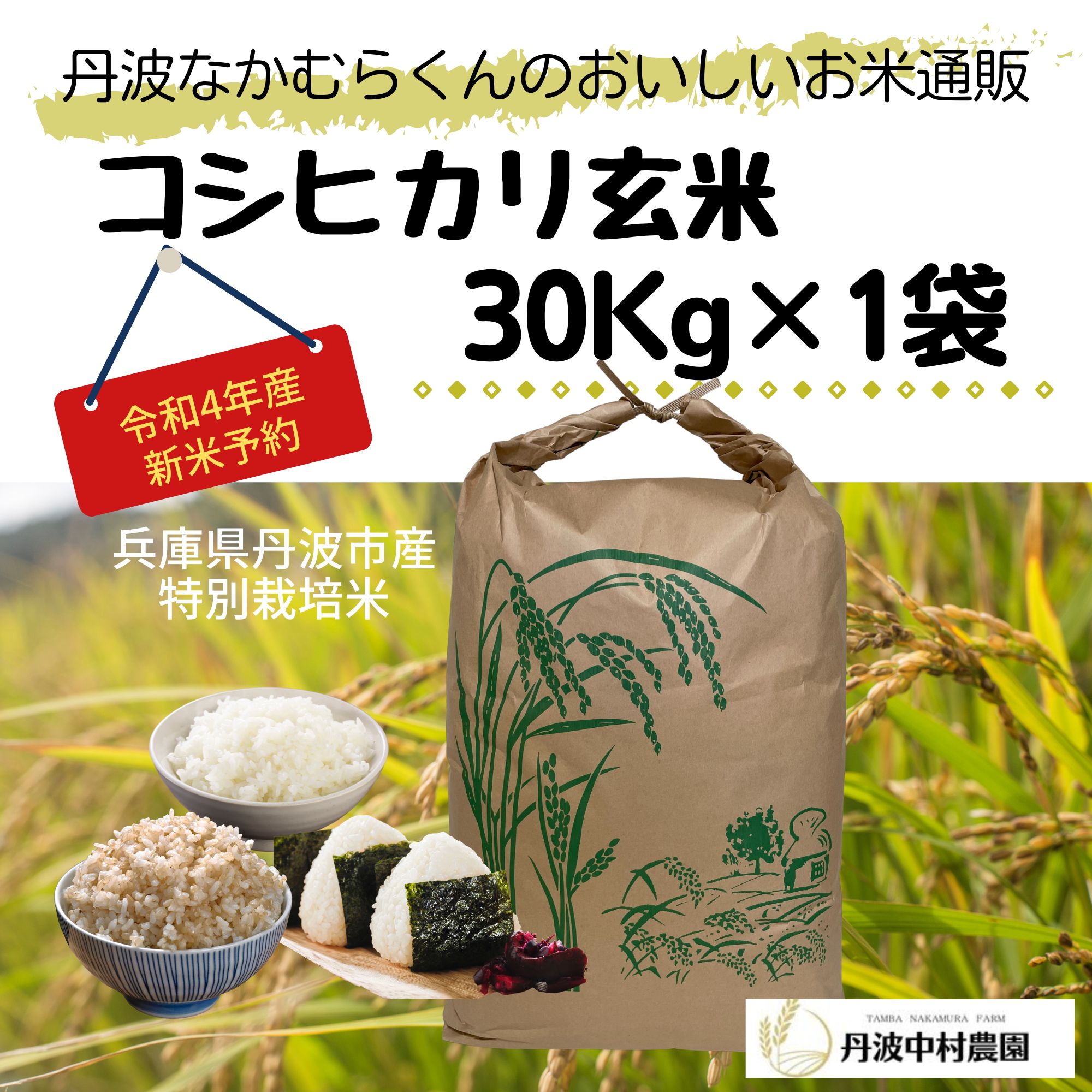 コシヒカリ 玄米 20kg 一等米○外箱なし○ 令和4年産 京丹波産 令和4