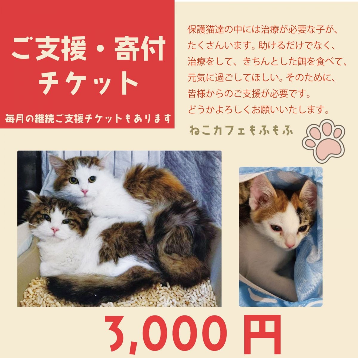 【ご支援・寄付チケット 3,000円】 保護猫活動費へのご支援代 保護猫譲渡型ねこカフェもふもふ