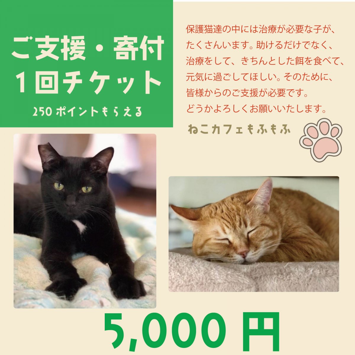 【ご支援・寄付チケット 5,000円】 保護猫活動費へのご支援代 保護猫譲渡型ねこカフェもふもふ