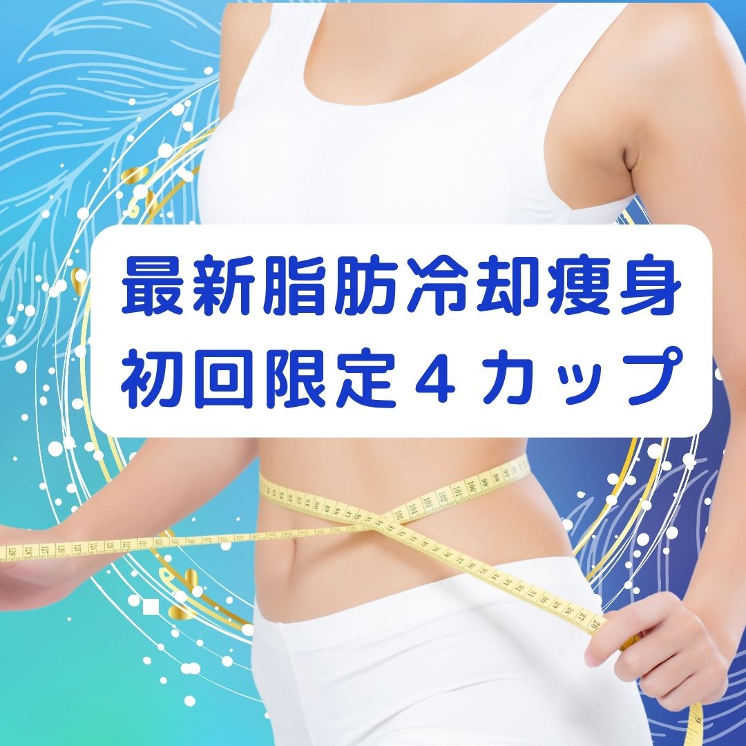 最新脂肪冷却痩身】初回限定☆4カップ - 釧路の癒しエステサロン