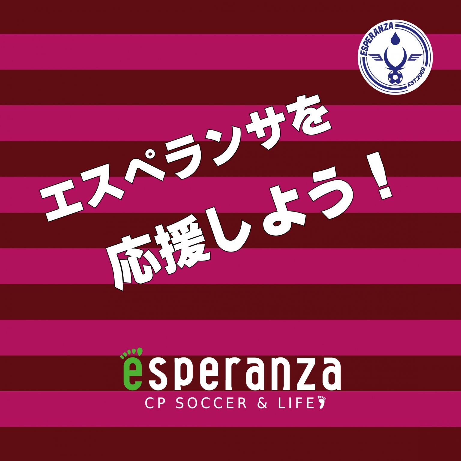 エスペランサ応援募金（3,000円）