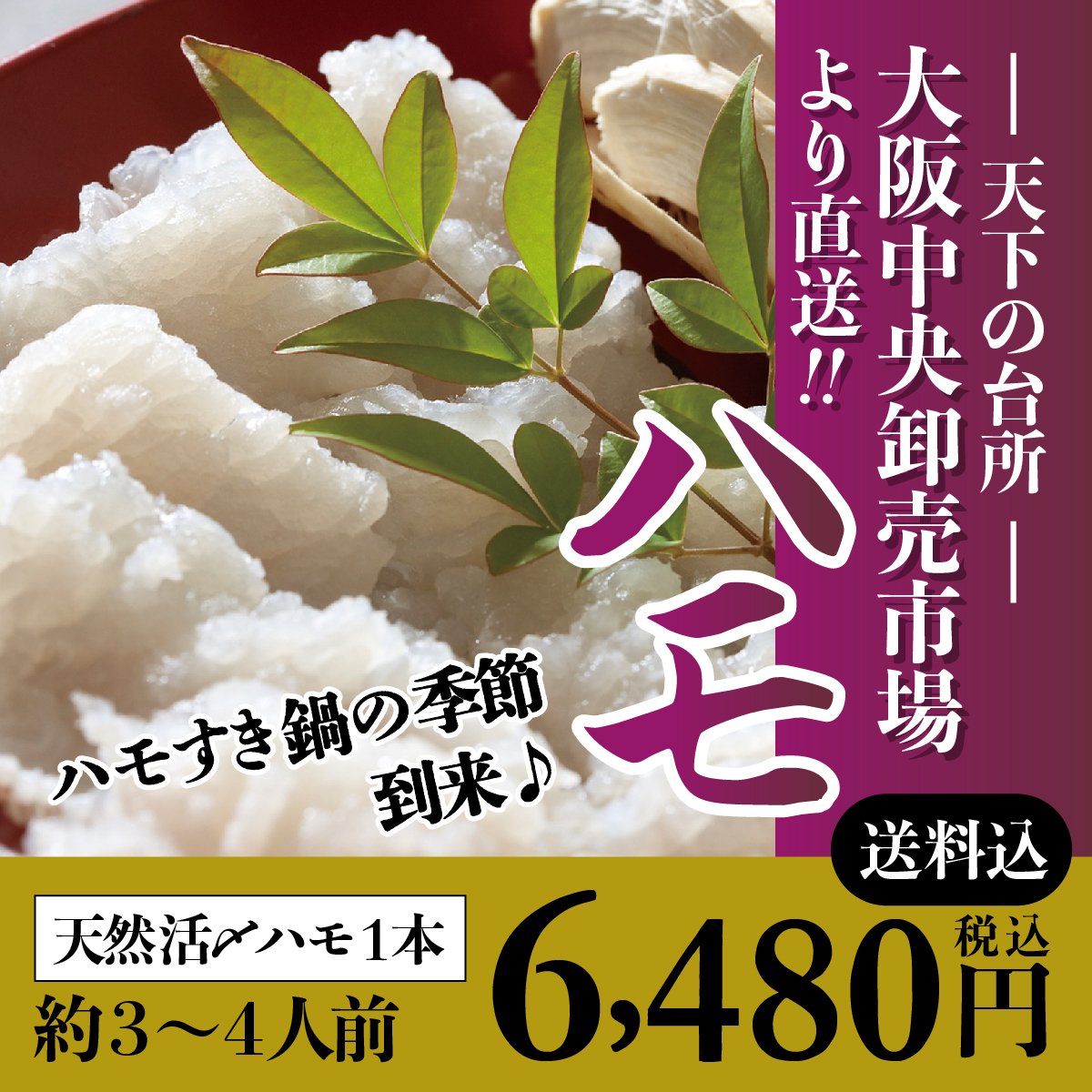 この季節だけの贅沢♪　鱧　ハモすき鍋　♬　極上の鍋　天下の台所☆から日本一美味しい♪　３〜4人前分　関西の風物詩「ハモすき鍋」美味しいお出しで召し上がれ！！　冬のフグ❤夏の鱧　ハモ