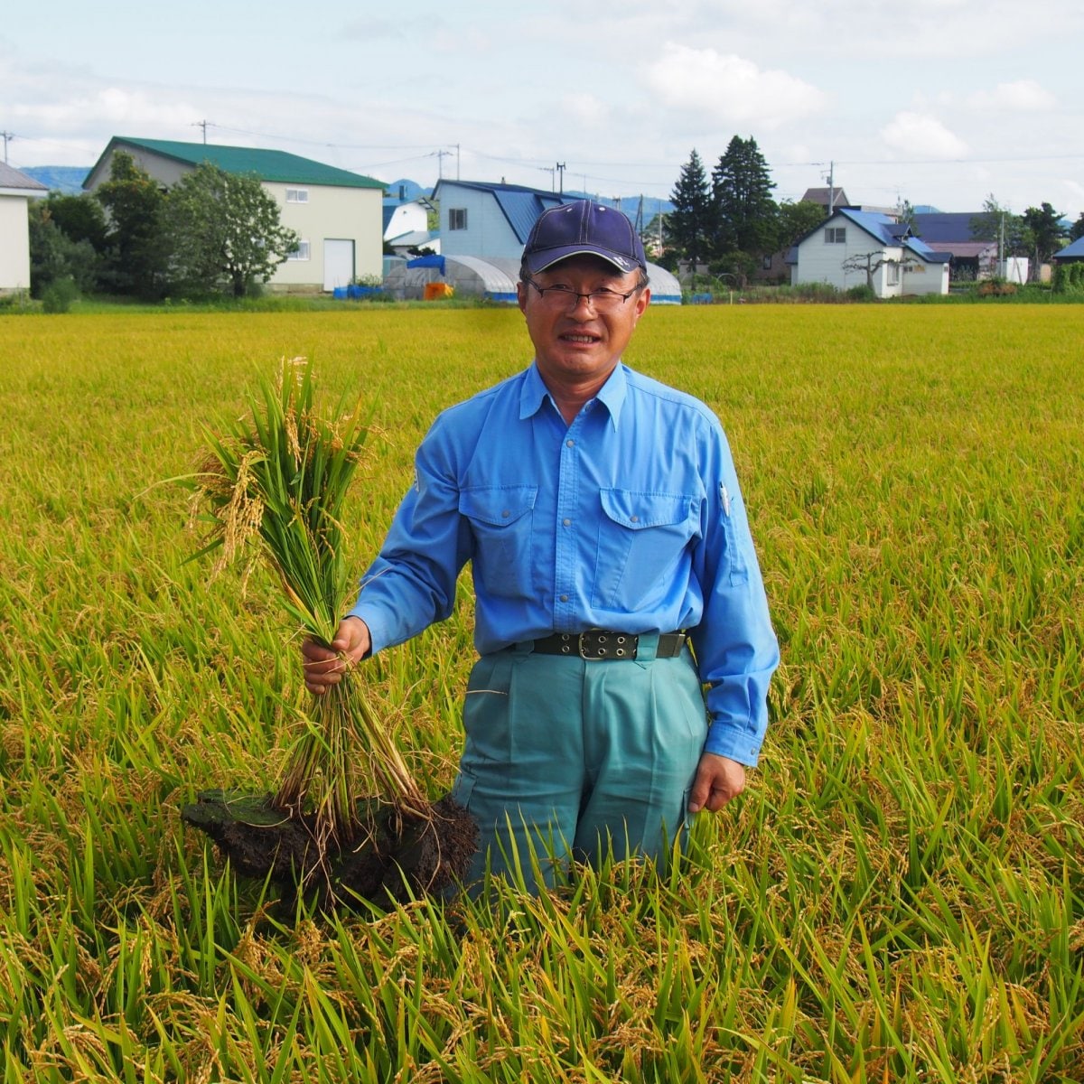 【定期便あり】美唄市 阿部さん おぼろづき　玄米 3kg