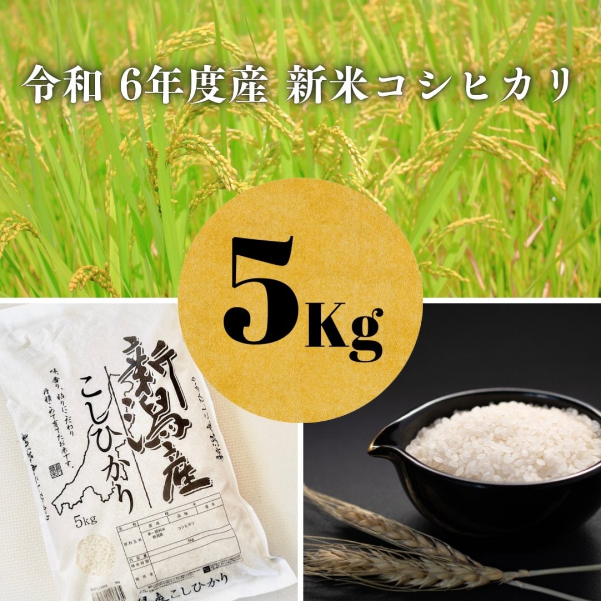 【令和6年】新潟県産新米コシヒカリ5キロ