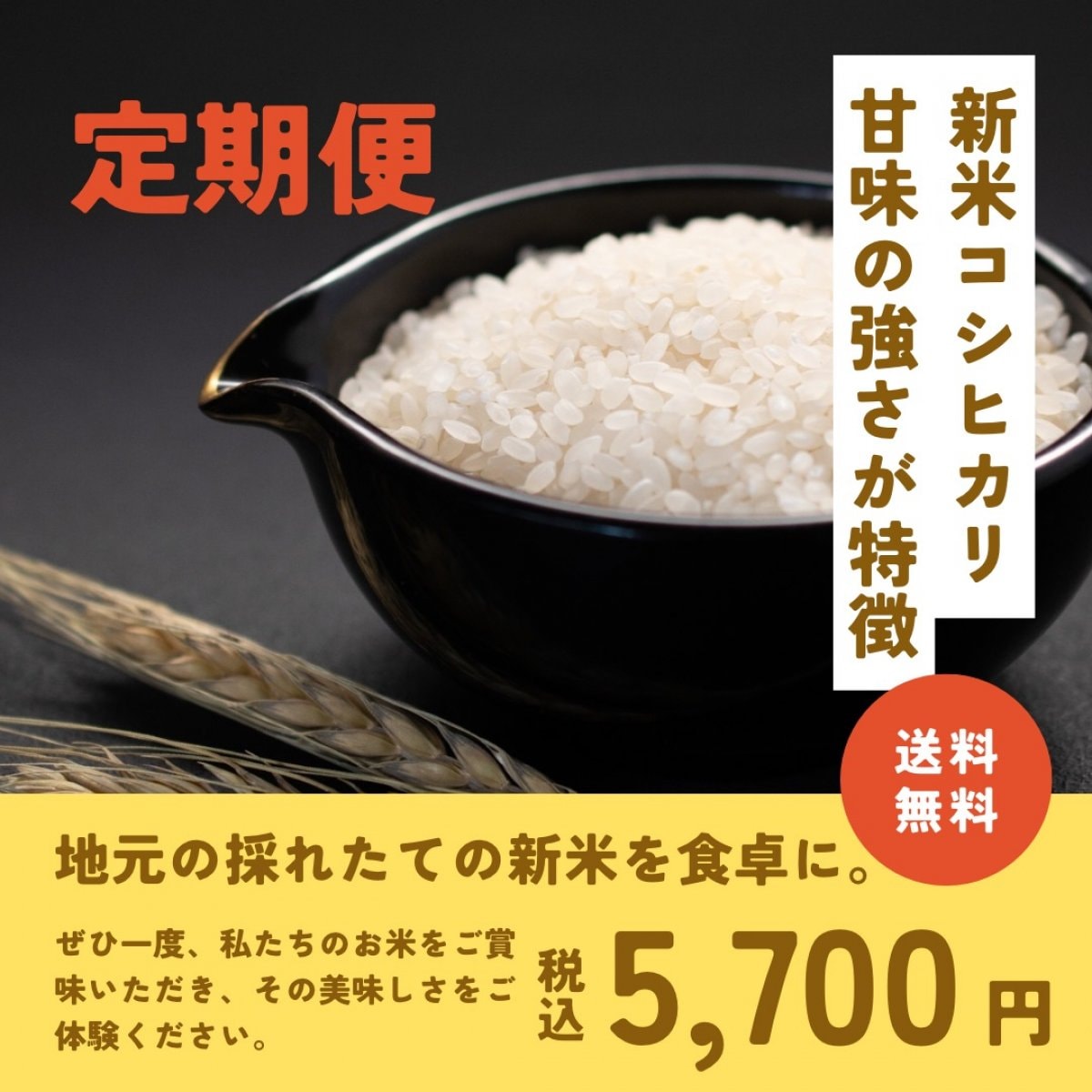 新潟県産コシヒカリ10キロ！令和6年度産 定期便は5,700円