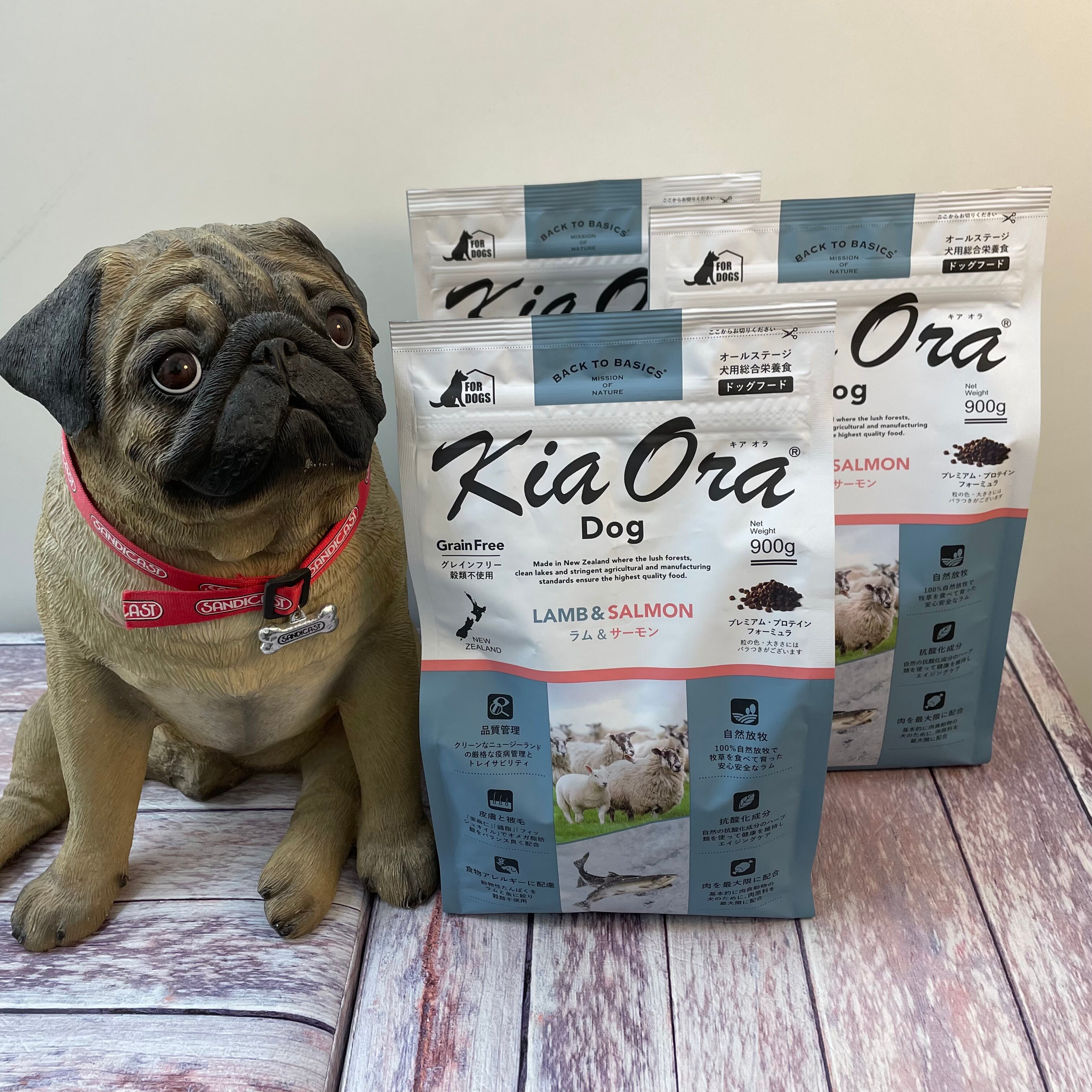 キアオラ ドッグフード ラム＆サーモン 5kg キアオラ ドッグフード