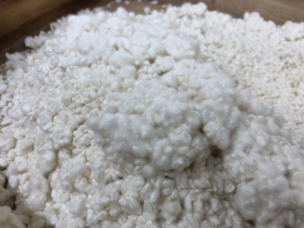【お味噌にすれば感動の味に！】お米農家がつくった米糀（農薬化学肥料不使用）１ｋｇ