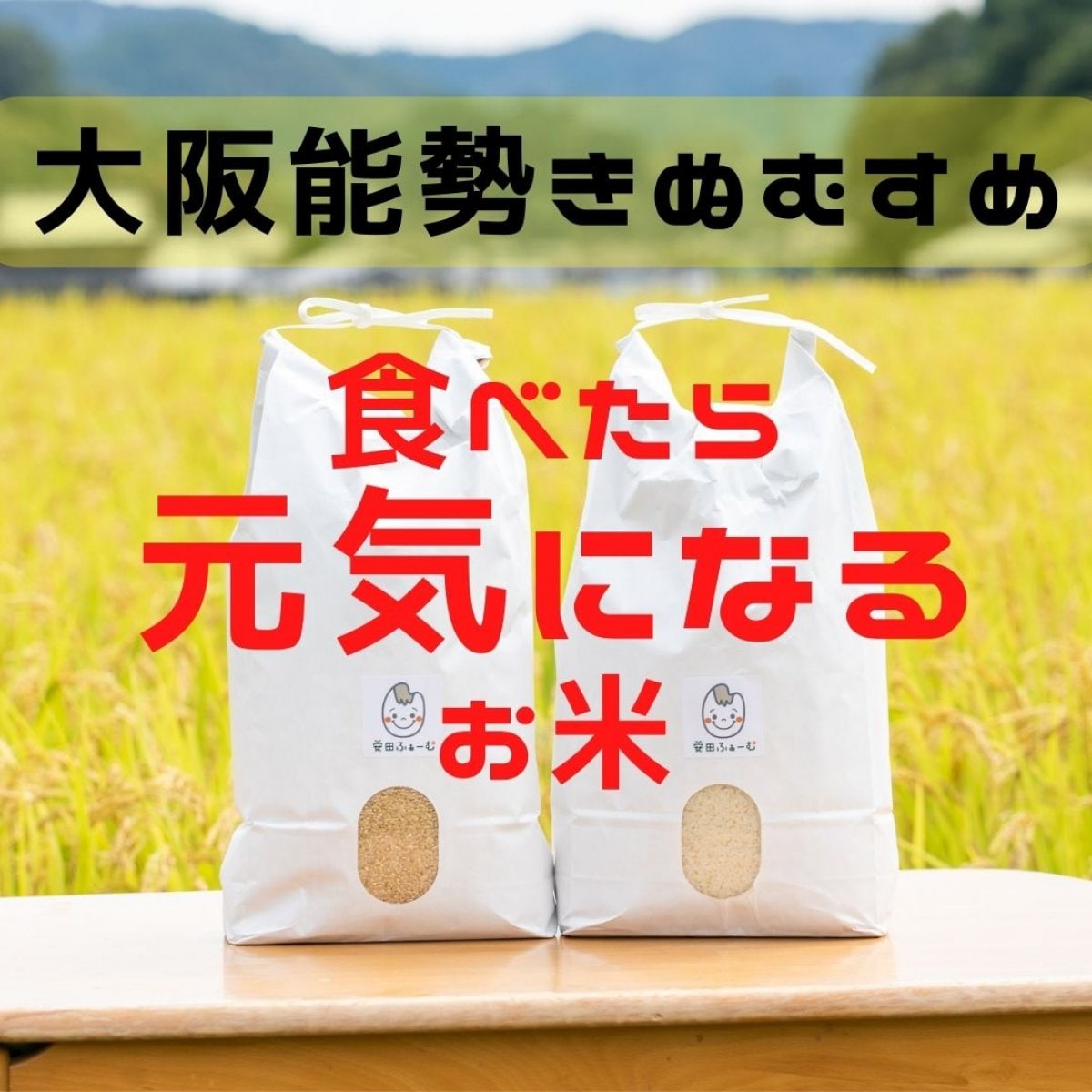 【食べたら元気になるお米！】【大阪能勢】玄米／白米５ｋｇ　無農薬・無化学肥料のお米　安田ふぁーむ　