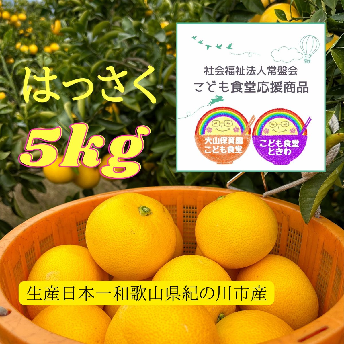 和歌山フルーツ（はっさく）通販店enマーケット