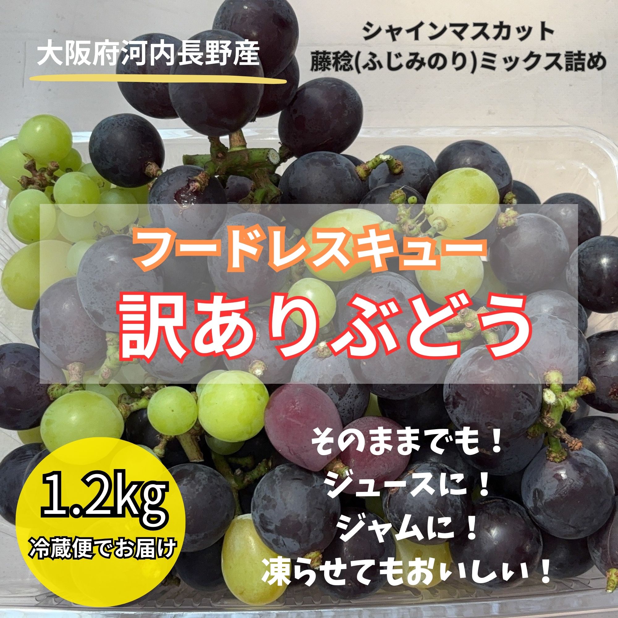 フードレスキュー/訳ありぶどう】大阪府河内長野産シャインマスカット