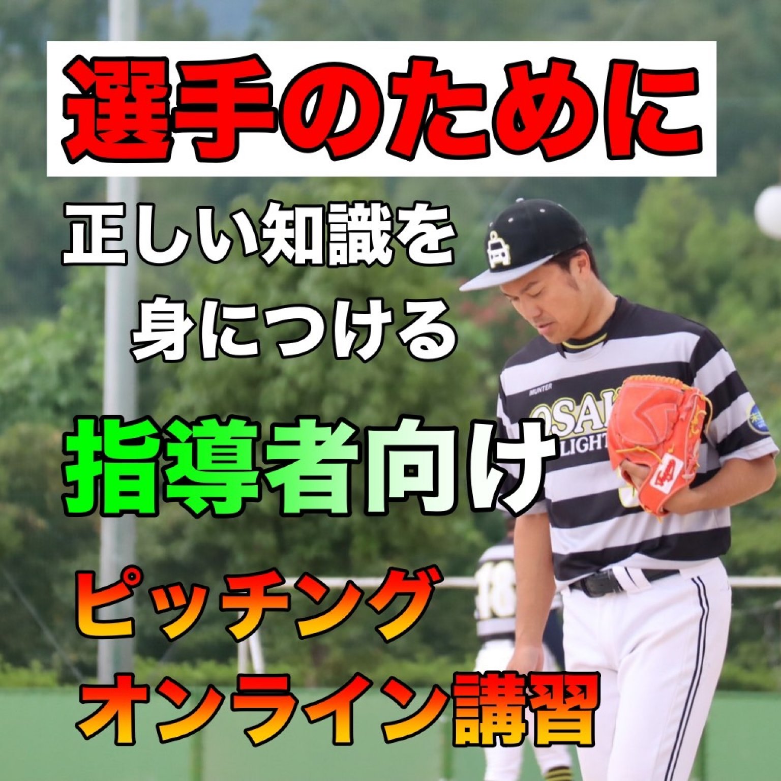指導者向け ソフトボールのピッチング指導方 オンライン なごみ