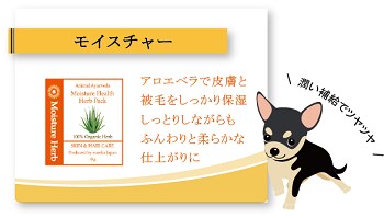 アニマルアーユルヴェーダ ハーブパック スターターキット