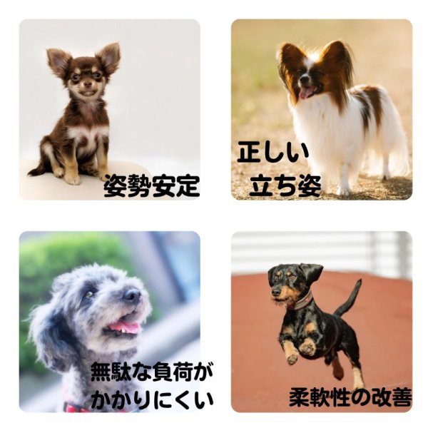 公式】歩けるくん|商品一覧