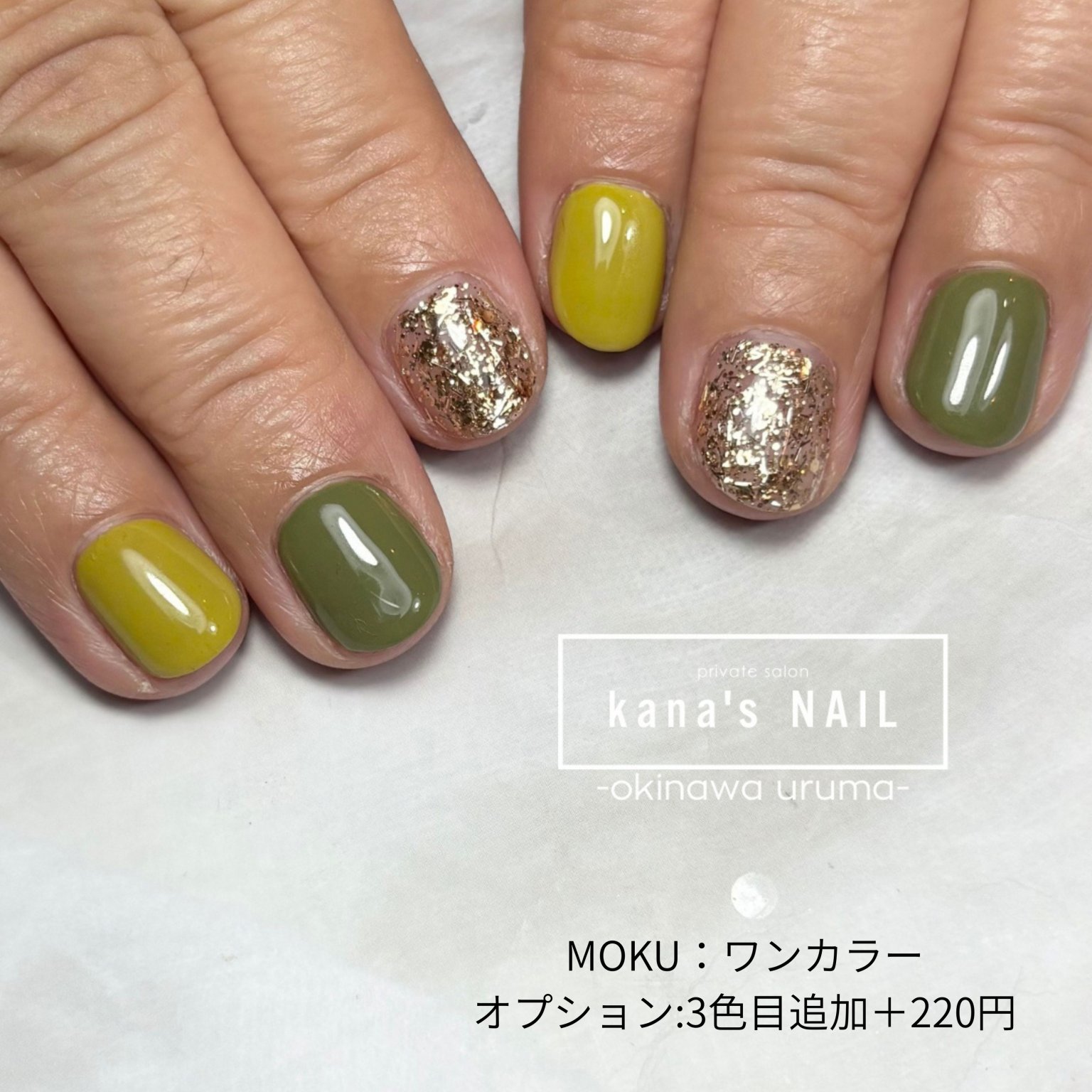 ワンカラーコース｜ MOKU特別メニュー