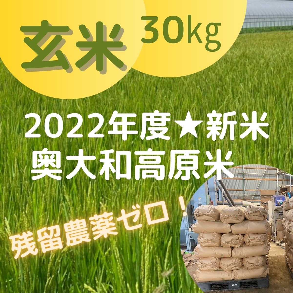 玄米30キロ/減農薬特別栽培”奥大和高原米”2022年度新米★