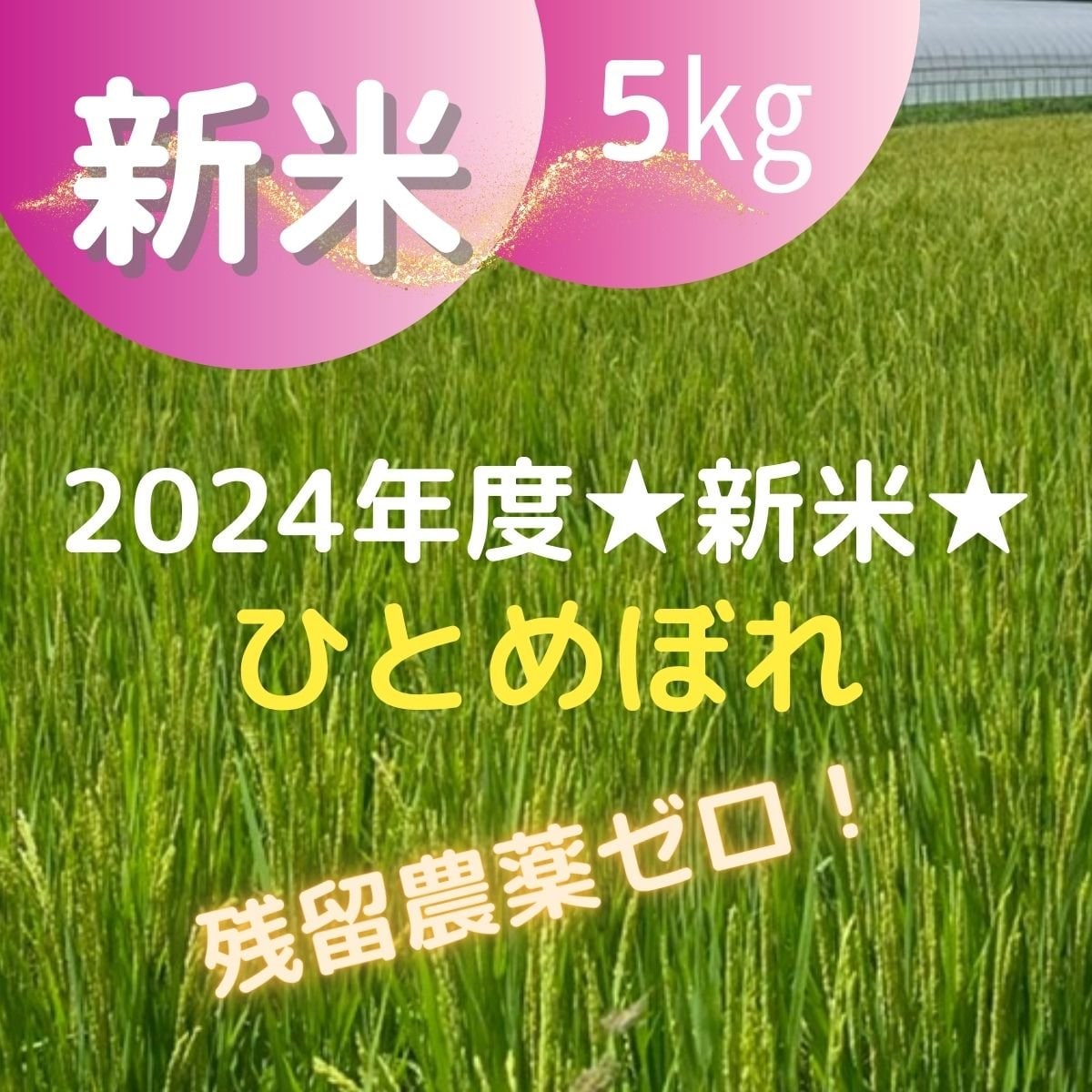 産地直送”玄米”の通販なら減農薬、残留農薬ゼロ、特別栽培の農家
