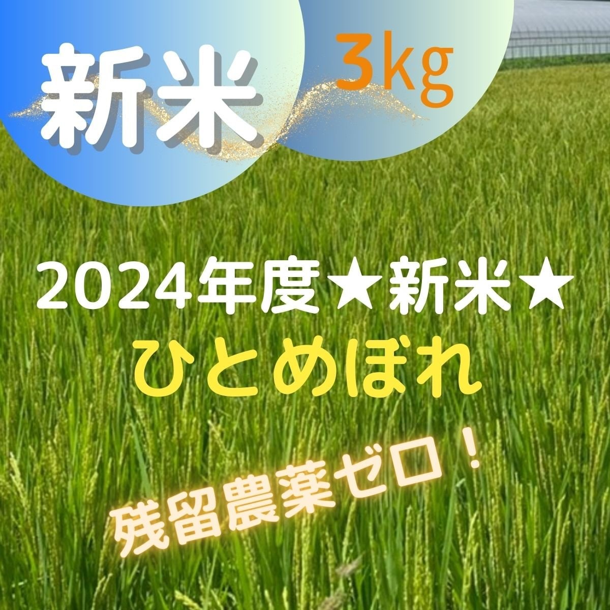 楽天市場】【農家直送】 10kg(5kg×2)【令和6年産 新米(無農薬米
