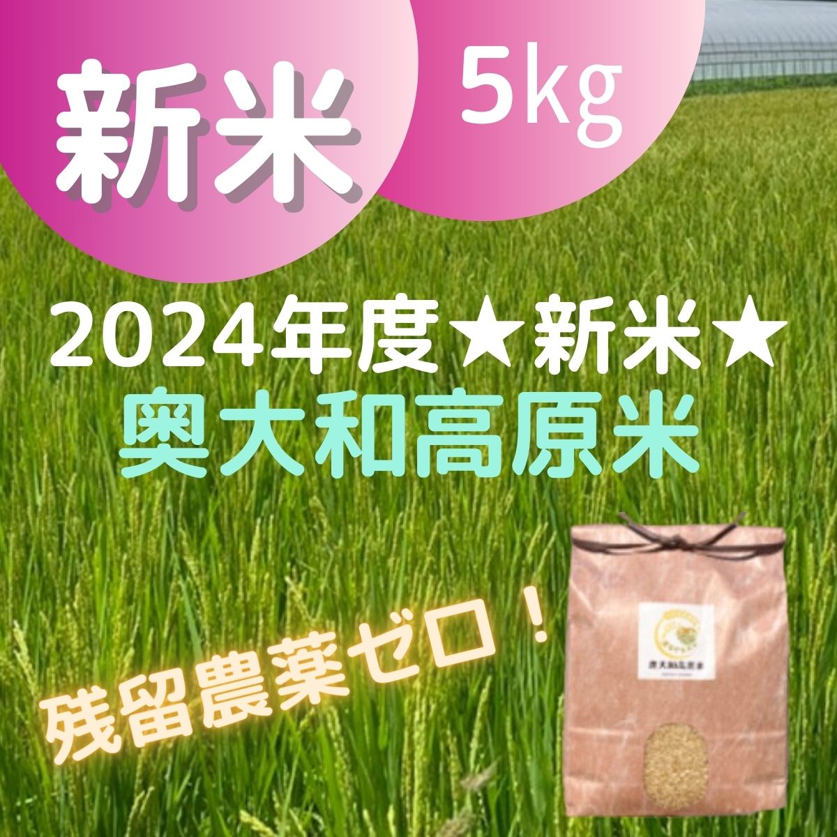 減農薬米(2024年米) 5キロ/減農薬特別栽培”奥大和高原米”2024年度新米〜9月上旬から