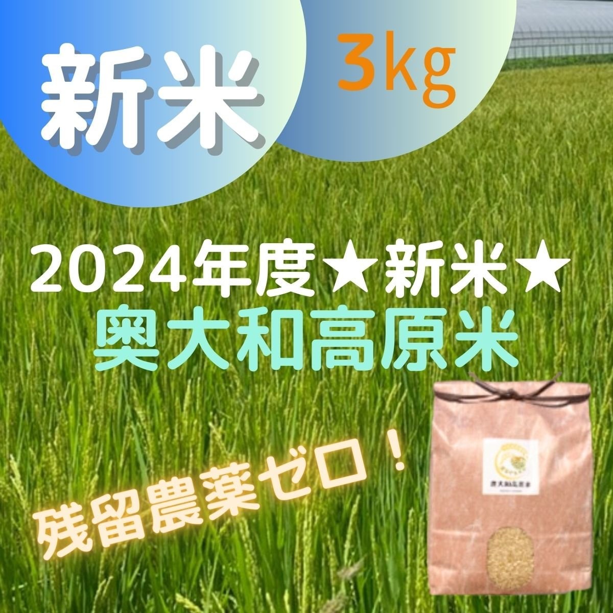 連年余り - 于培山 京セラ（旧リョービ）電動芝刈り機LM-2310サッチング刃を使って
