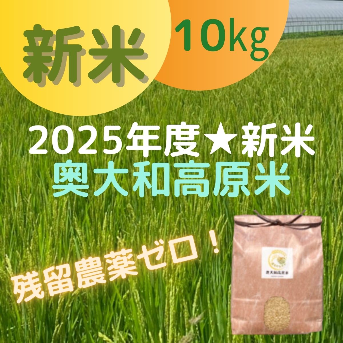 令和5年度産 お米10kg 減農薬栽培 コシヒカリ 【令和5年度米】特別栽培米（減農薬・減化学肥料