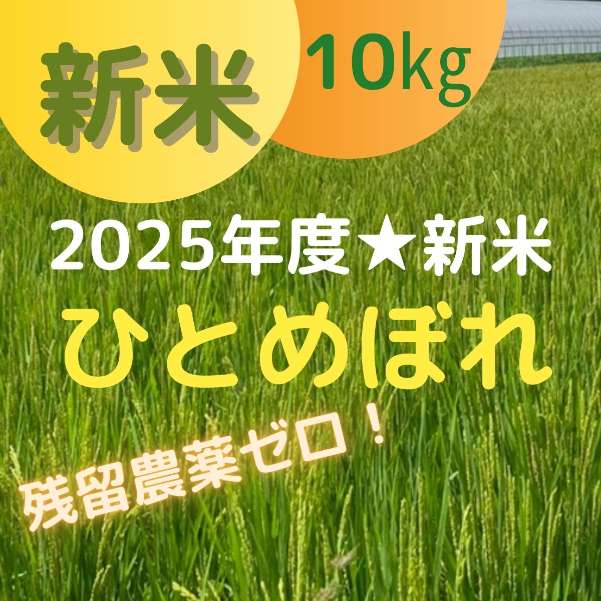 無農薬有機栽培　ひとめぼれ新米　10キロ 無農薬有機栽培 ひとめぼれ新米 10キロ