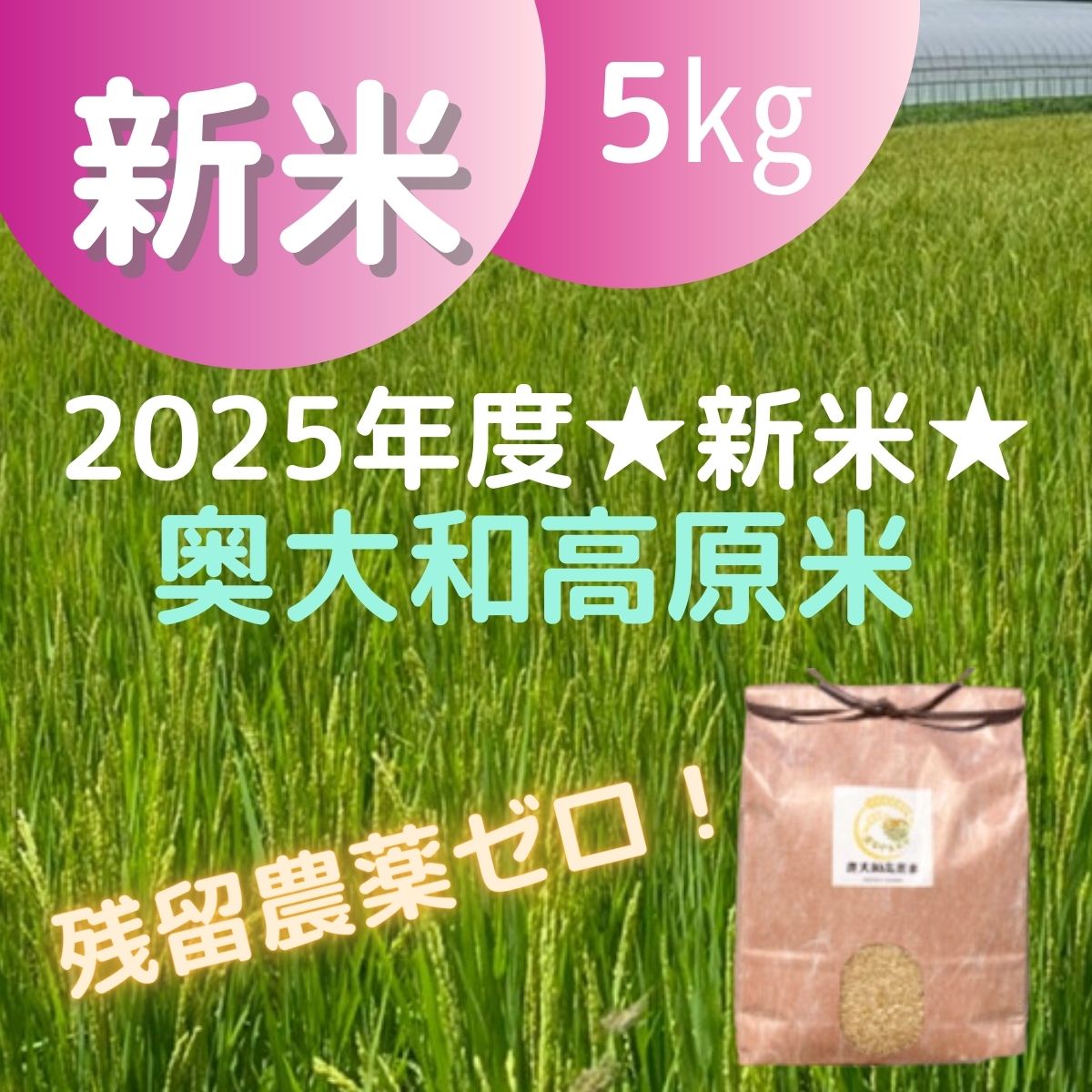奥大和高原新米5キロ/減農薬特別栽培2025年度新米☆|奥大和高原