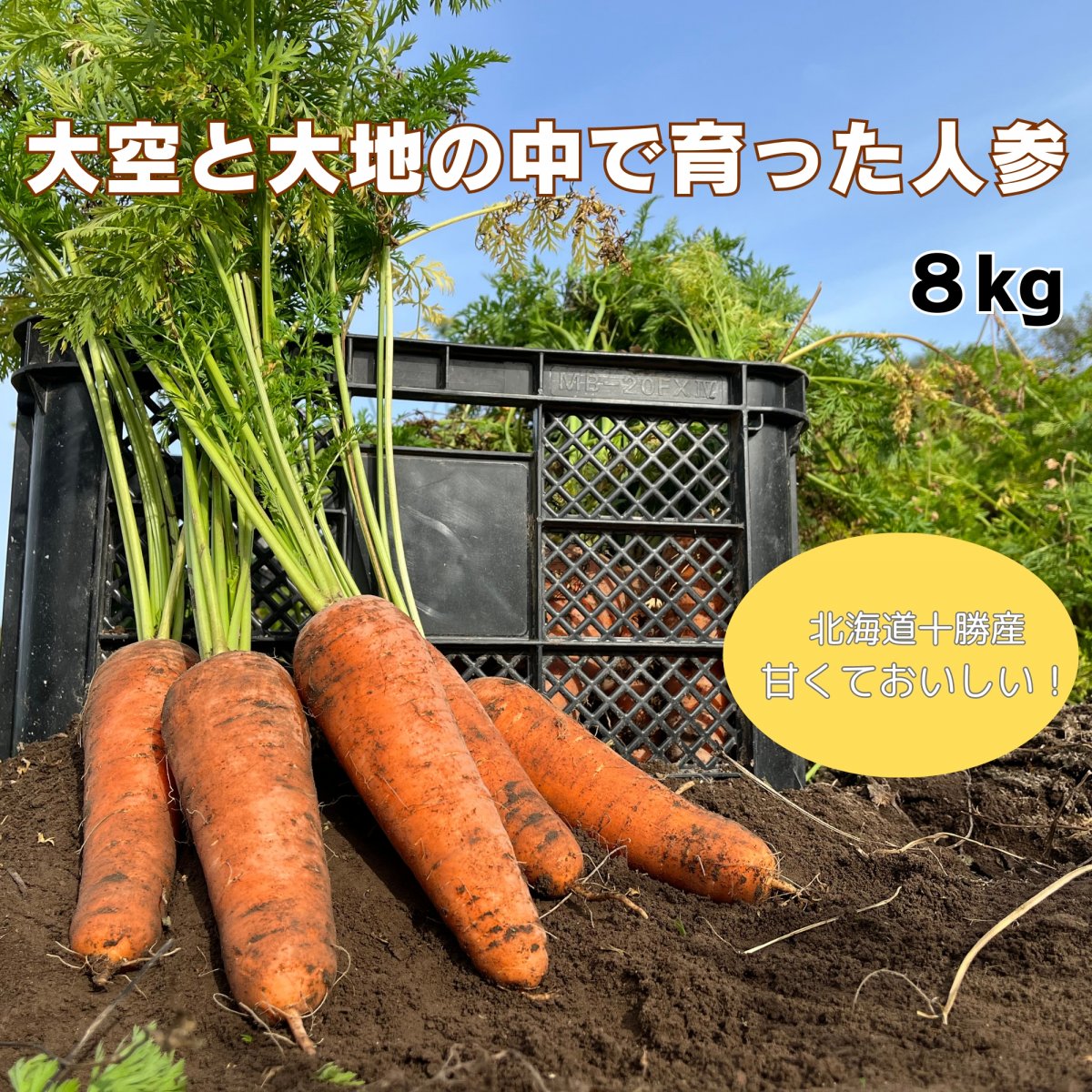 無肥料 無農薬 ミニたまねぎ(5kg) など３品 - 野菜