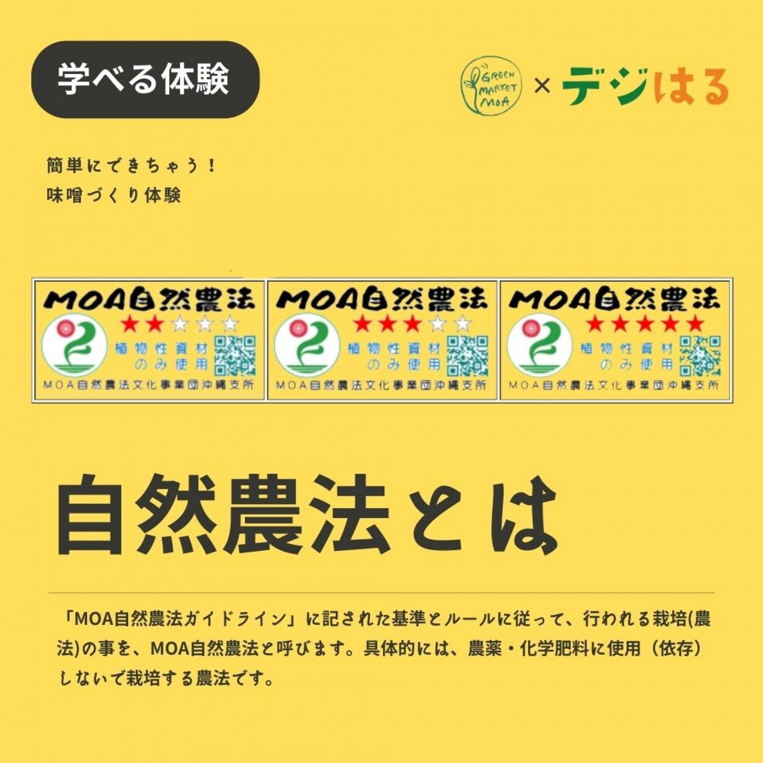 【6/29(土)14-15時】手作り味噌づくり体験in首里