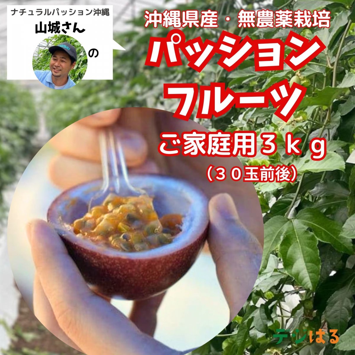 特集商品画像