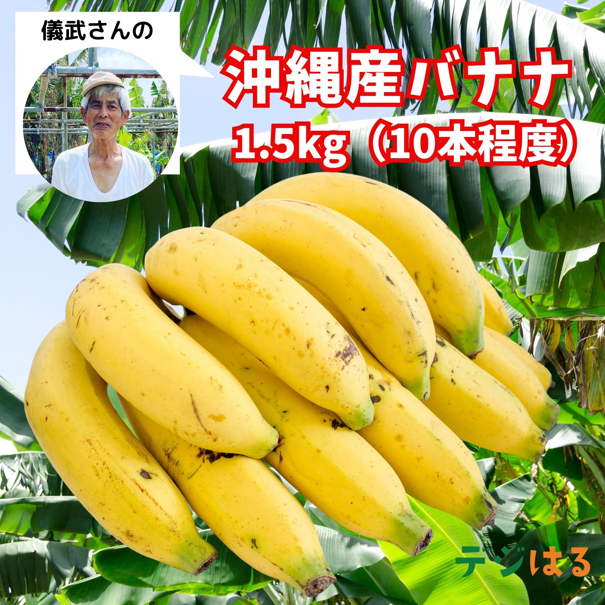 沖縄県産】バナナいろいろ1.5kg/10本程度（栽培期間中、化学農薬不使用）