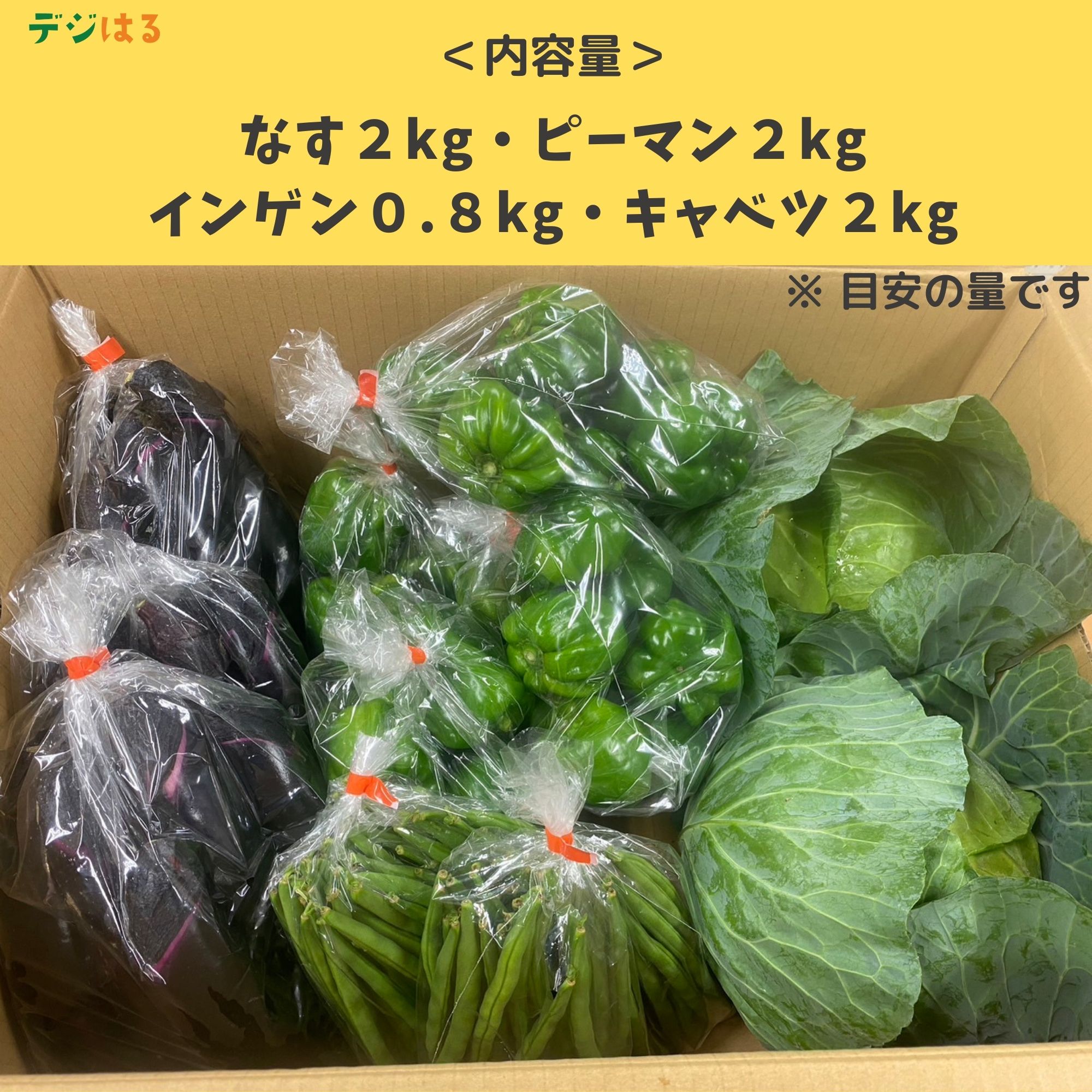 沖縄県産】べじすたんどの野菜詰め合わせセット（100サイズ）