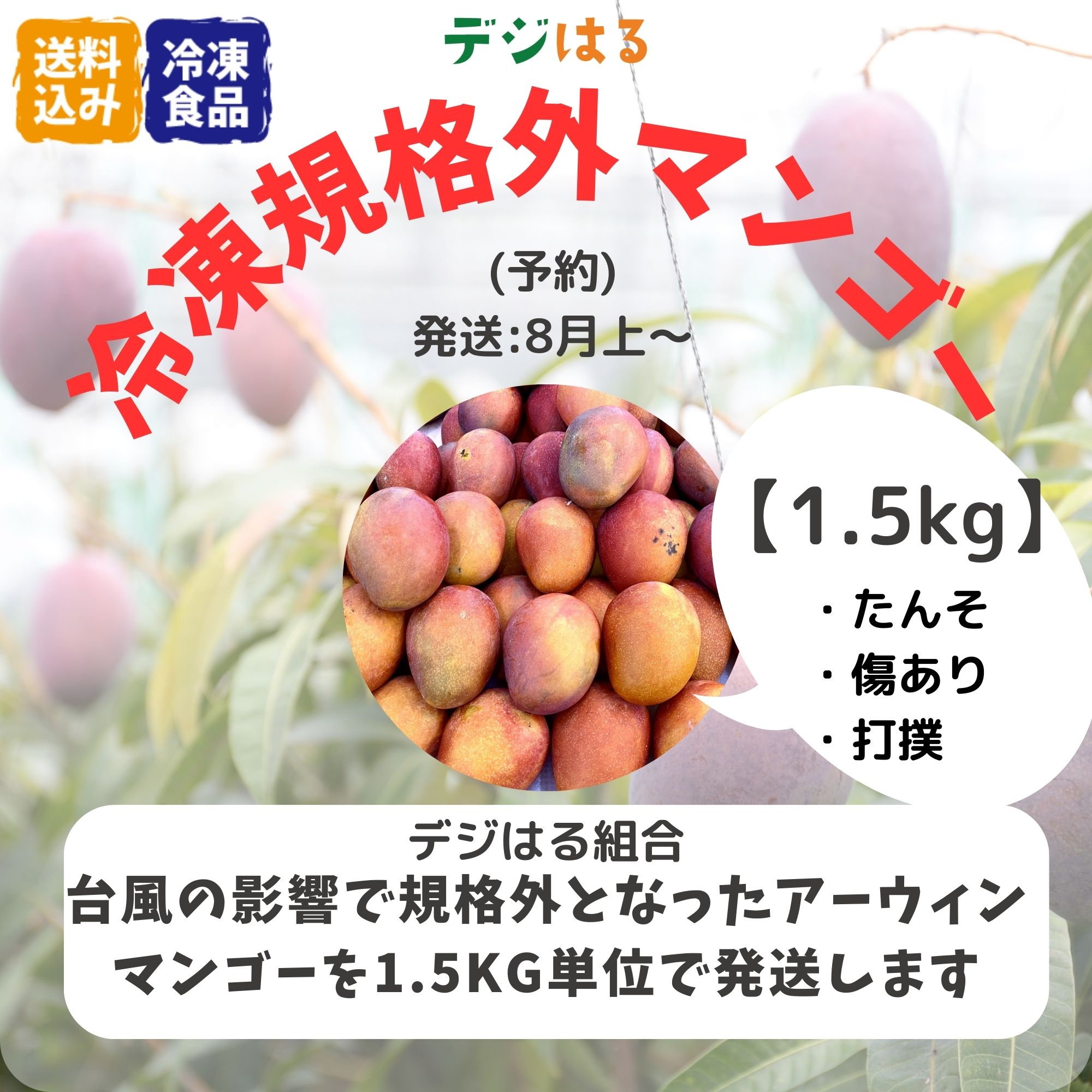 数量限定】【送料込】【冷凍】規格外アーウィンマンゴー1.5kg