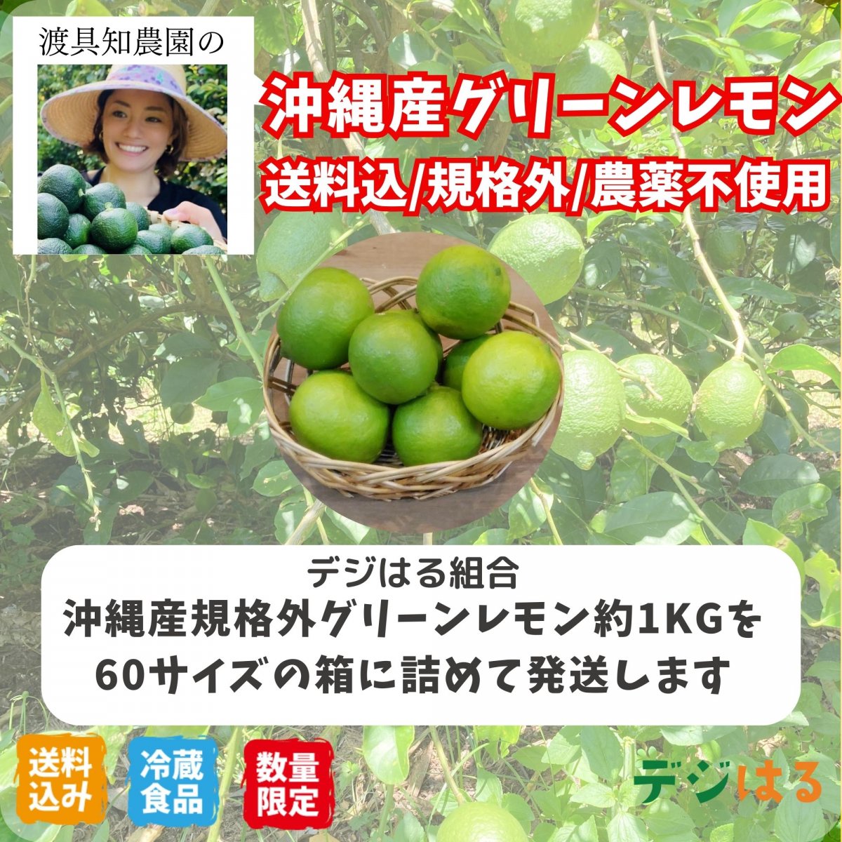 無農薬レモン 加工用20kg ※北海道、東北、沖縄への発送 【公式通販】 無農薬レモン 加工用20kg ※北海道、東北、沖縄への発送 【公式通販】