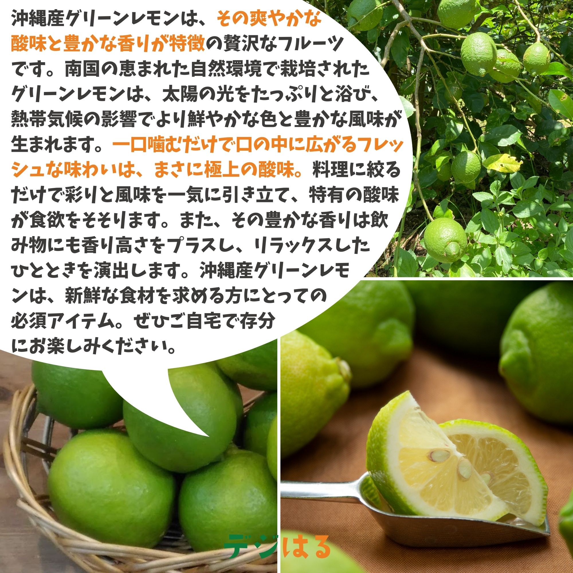 ⭐️クール付き⭐️訳あり完熟レモン10キロ箱込 （北海道・東北
