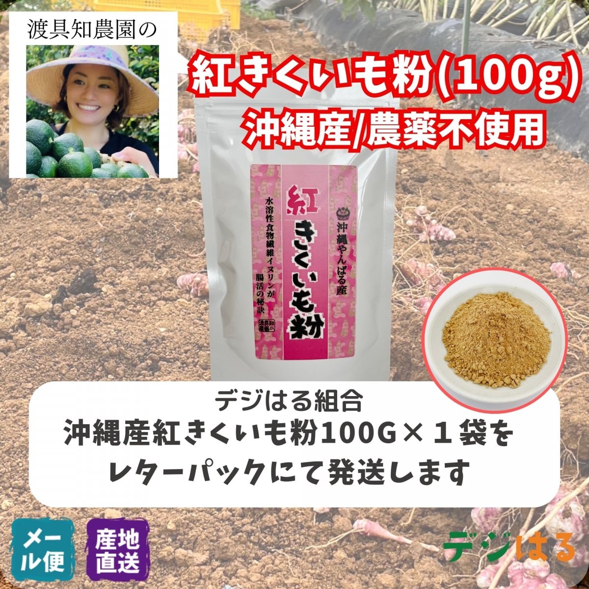 【送料込】紅きくいも粉100g×1袋｜沖縄産（無農薬）