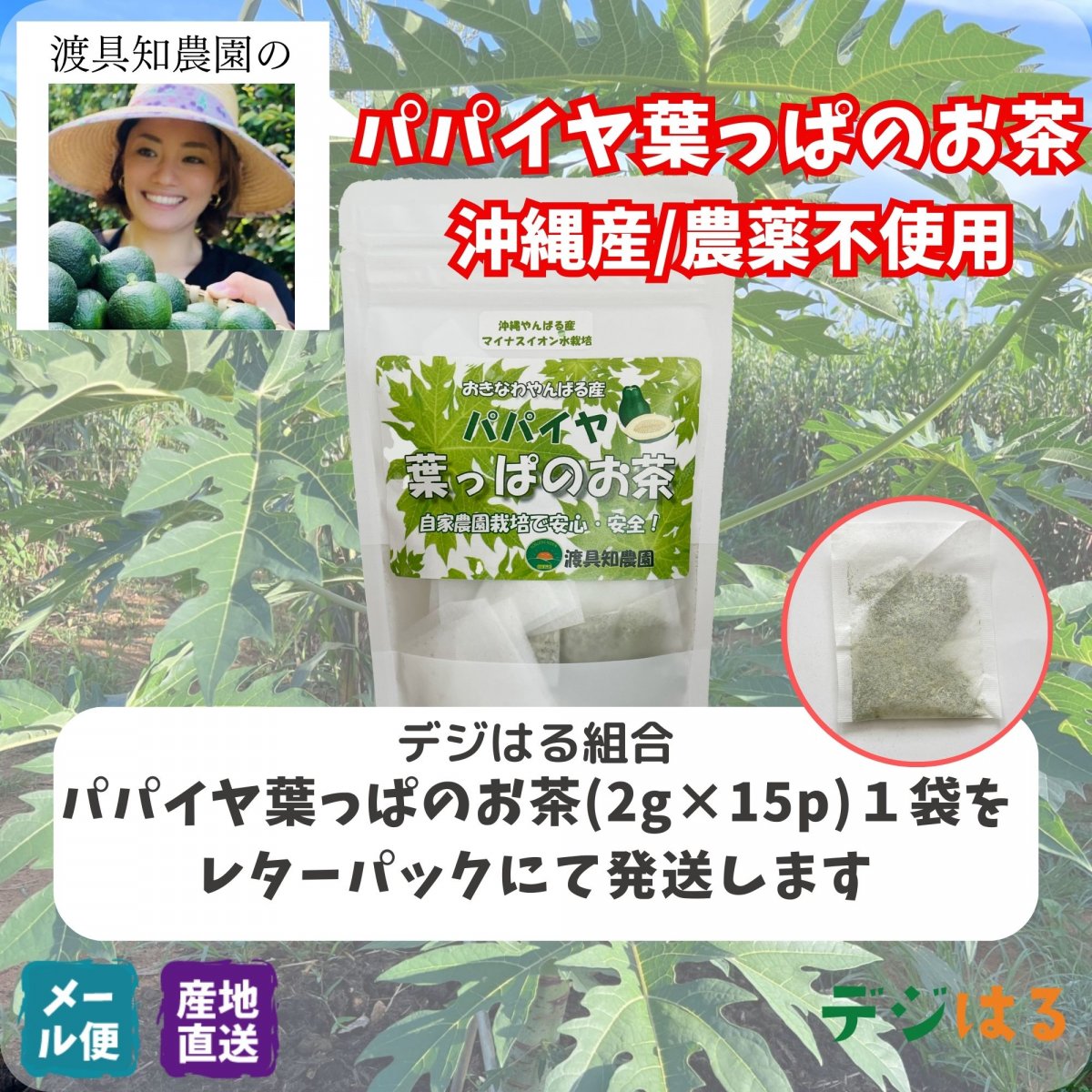 【送料込】パパイヤ葉っぱのお茶2g×15p×1袋｜沖縄産（無農薬）
