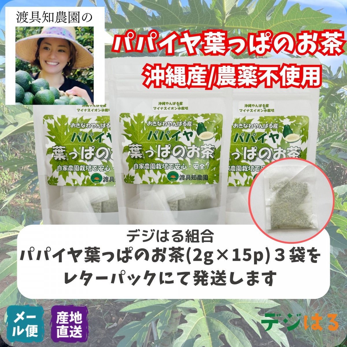 【送料込】パパイヤ葉っぱのお茶2g×15p×3袋｜沖縄産（無農薬）