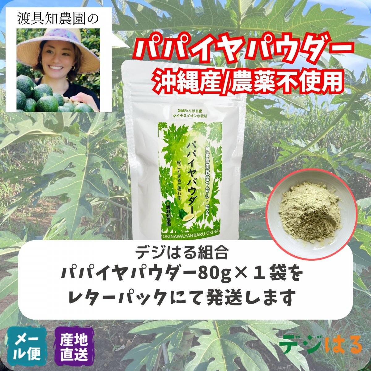 【送料込】パパイヤパウダー80g×1袋｜沖縄産（無農薬）