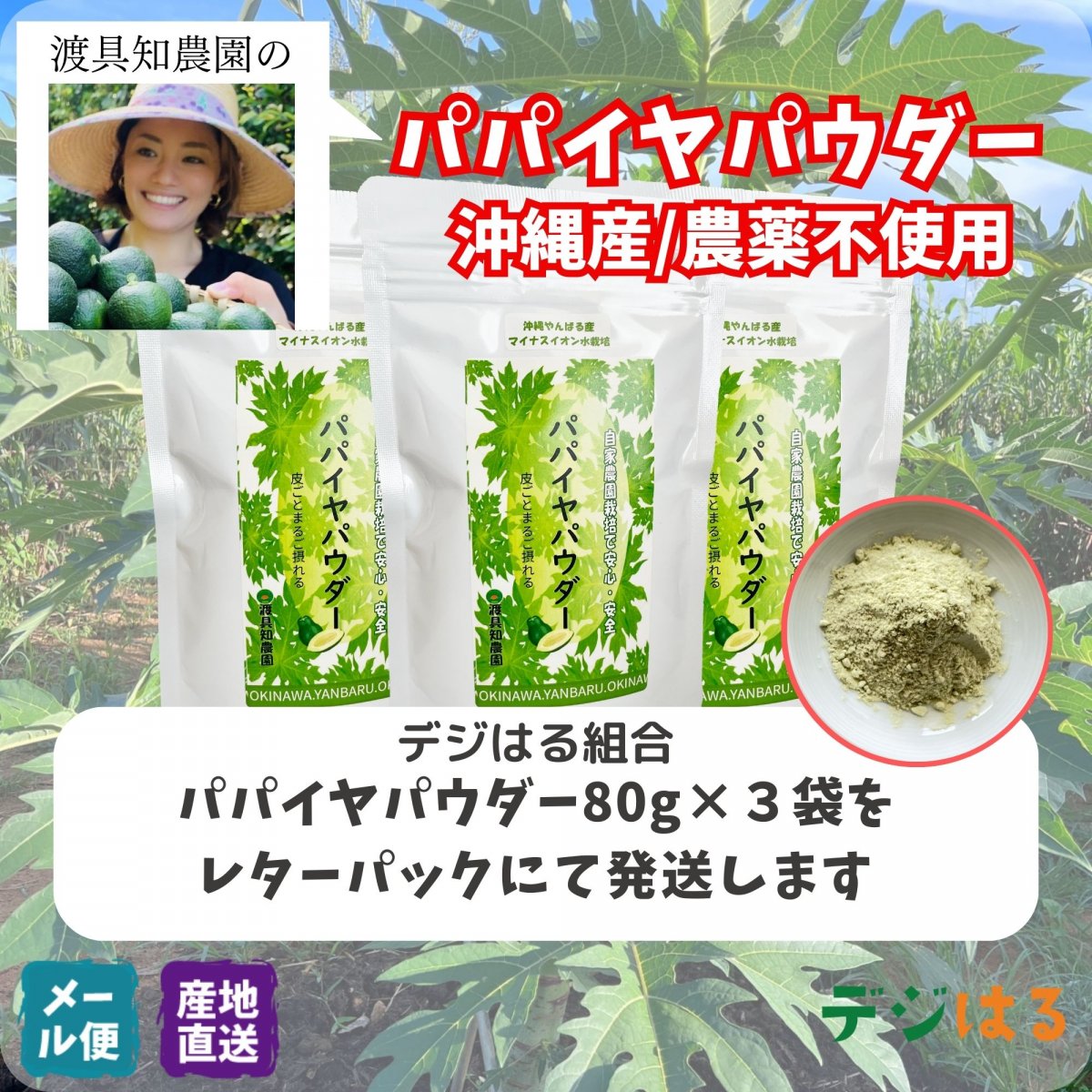【送料込】パパイヤパウダー80g×3袋｜沖縄産（無農薬）