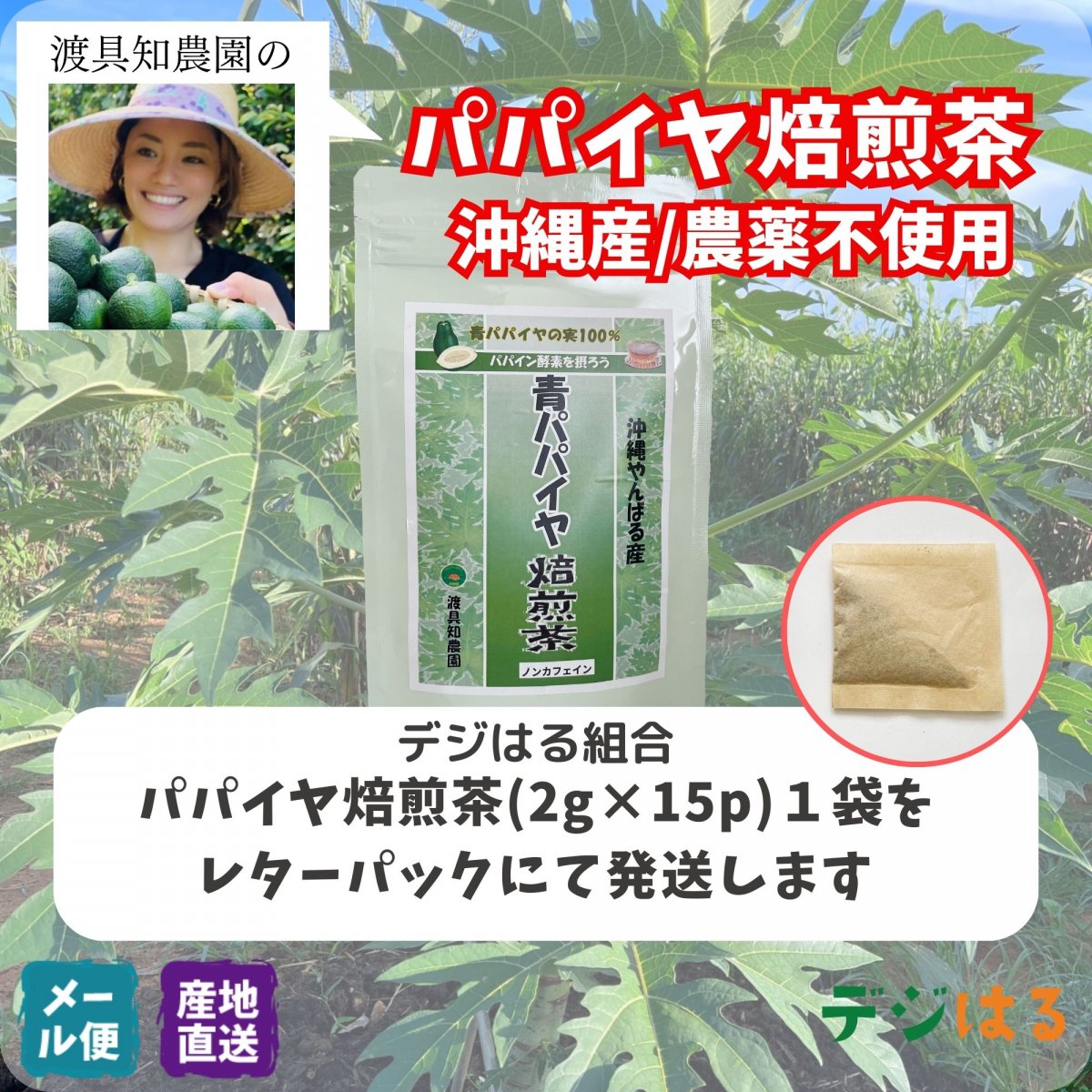 【送料込】パパイヤ焙煎茶2g×15p×1袋｜沖縄産（無農薬）