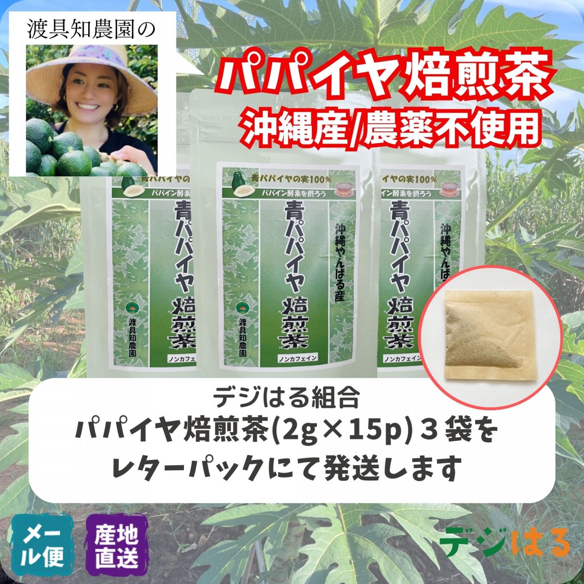 【送料込】パパイヤ焙煎茶2g×15p×3袋｜沖縄産（無農薬）
