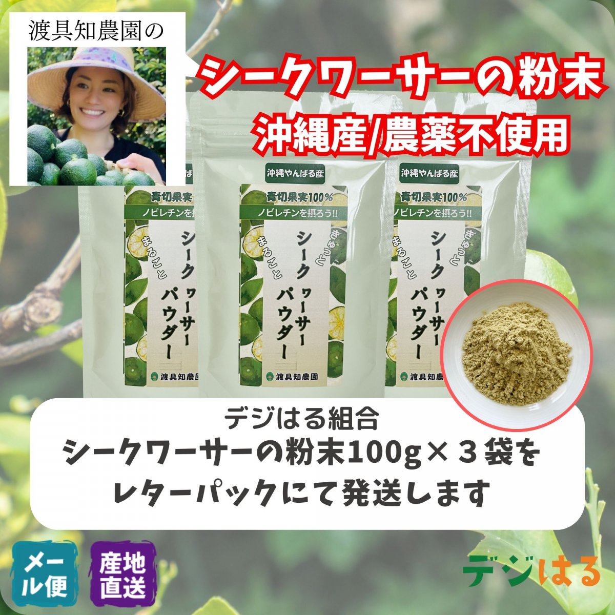 【送料込】シークワーサーの粉末100g×3袋｜沖縄産（無農薬）