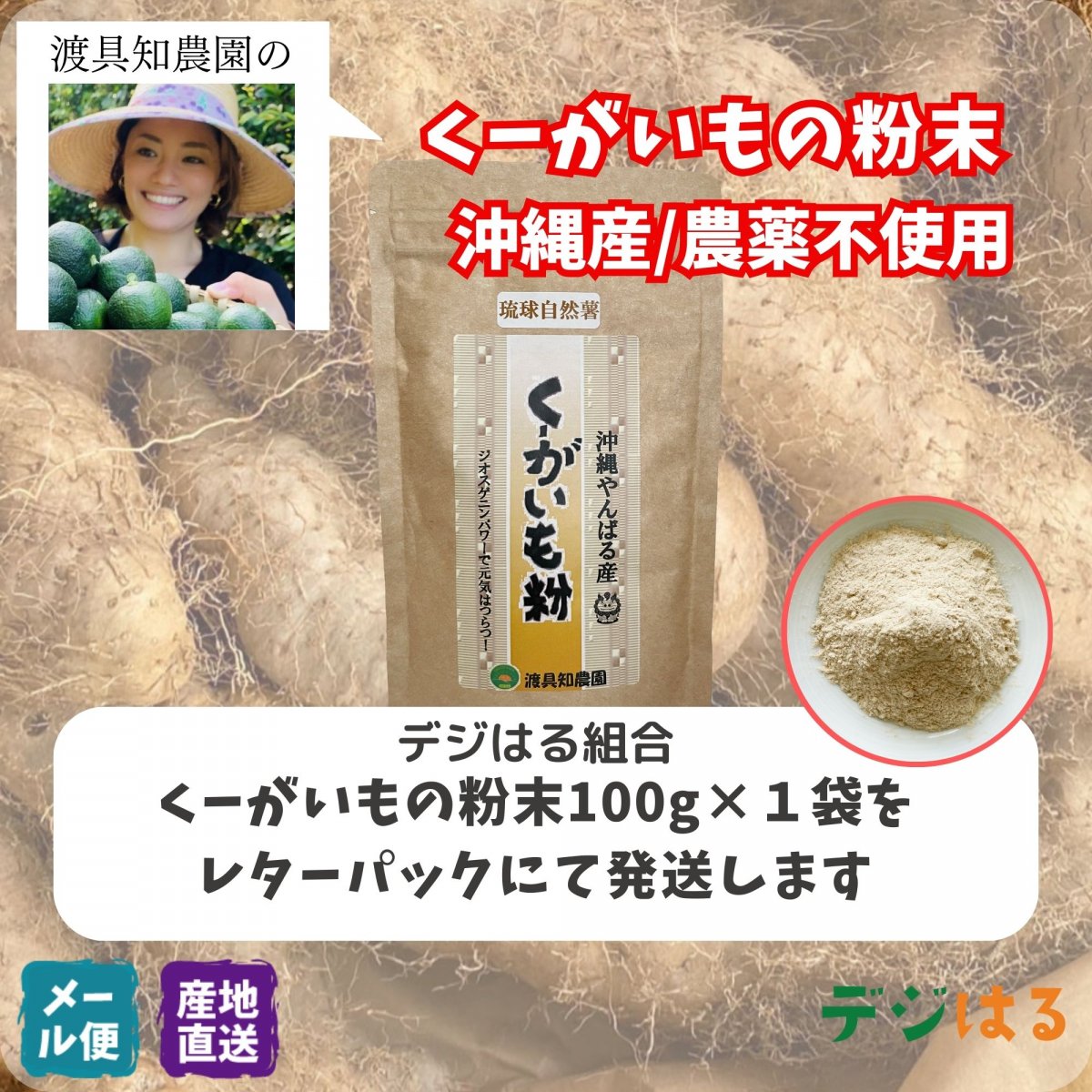 【送料込】くーがいもの粉末100g×1袋｜沖縄産（無農薬）
