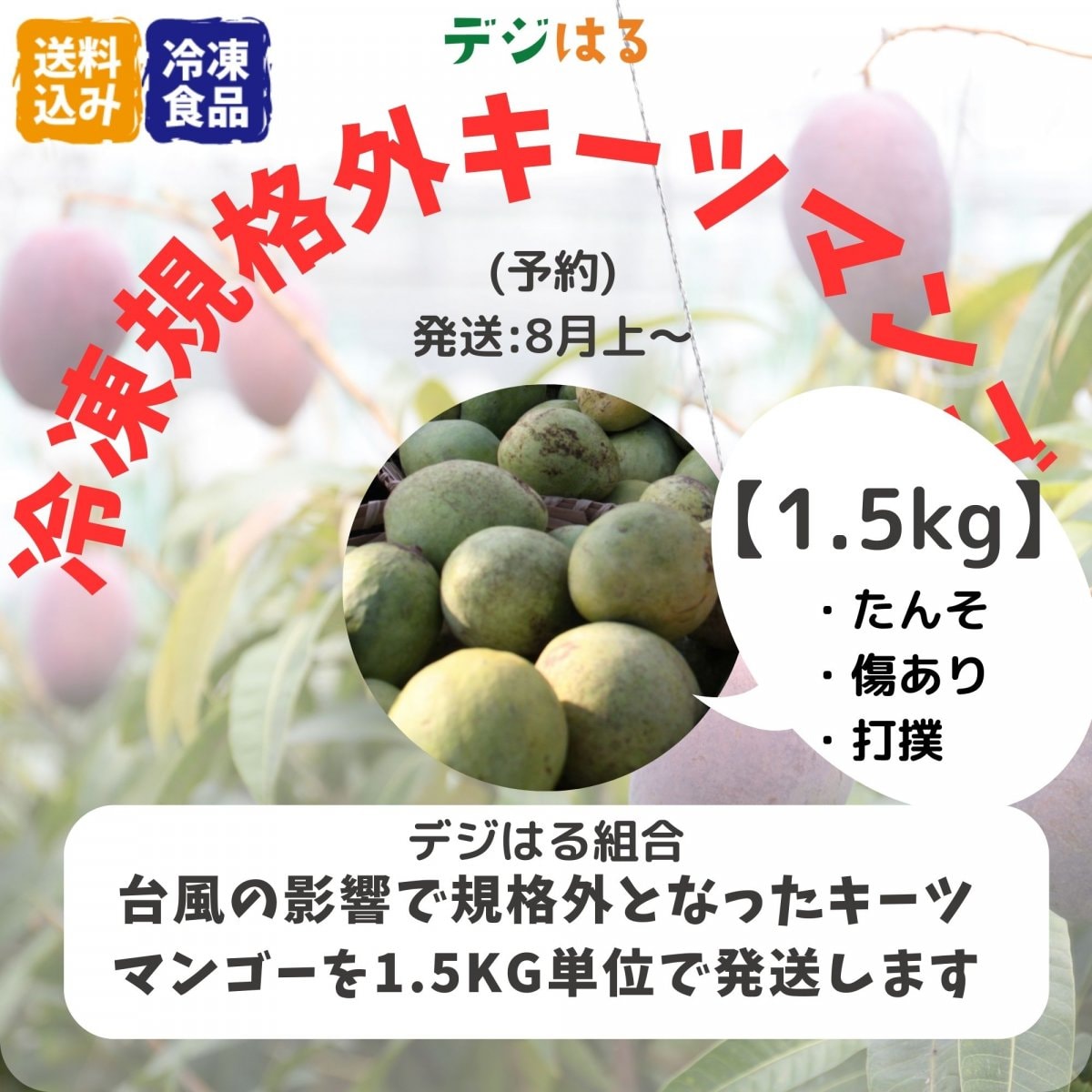 【数量限定】【送料込】規格外冷凍キーツマンゴー1.5kg｜沖縄産｜フードレスキュー
