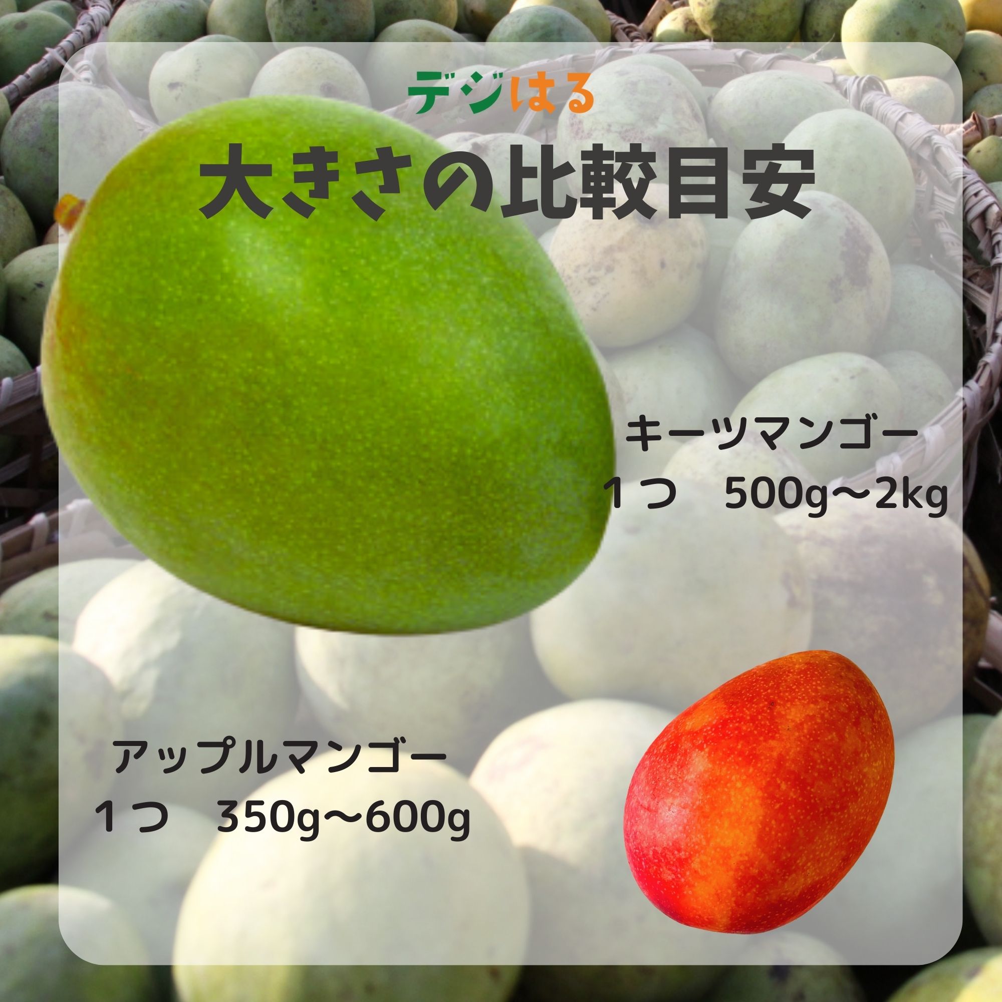 在庫なし【数量限定】【送料込】規格外冷凍キーツマンゴー1.5kg