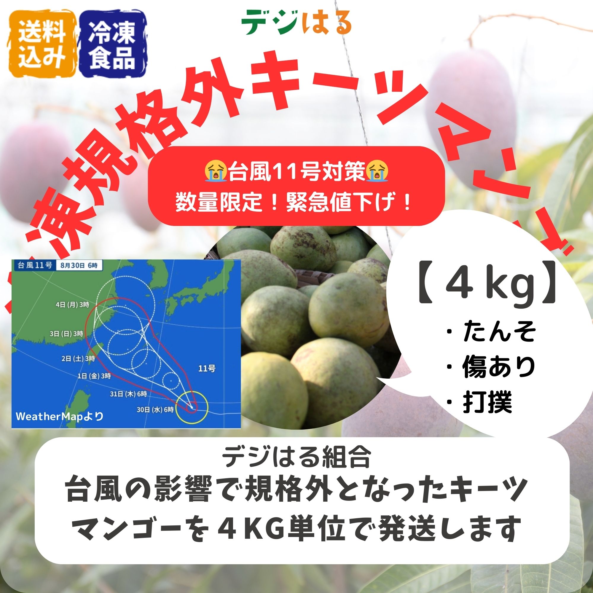 沖縄県南城市キーツマンゴー4kg 5-6玉 - 果物