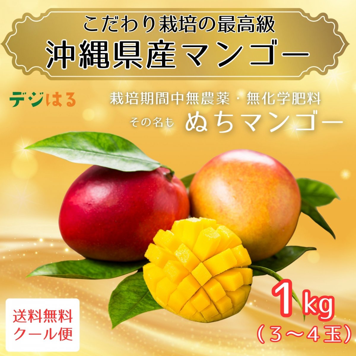 特集商品画像