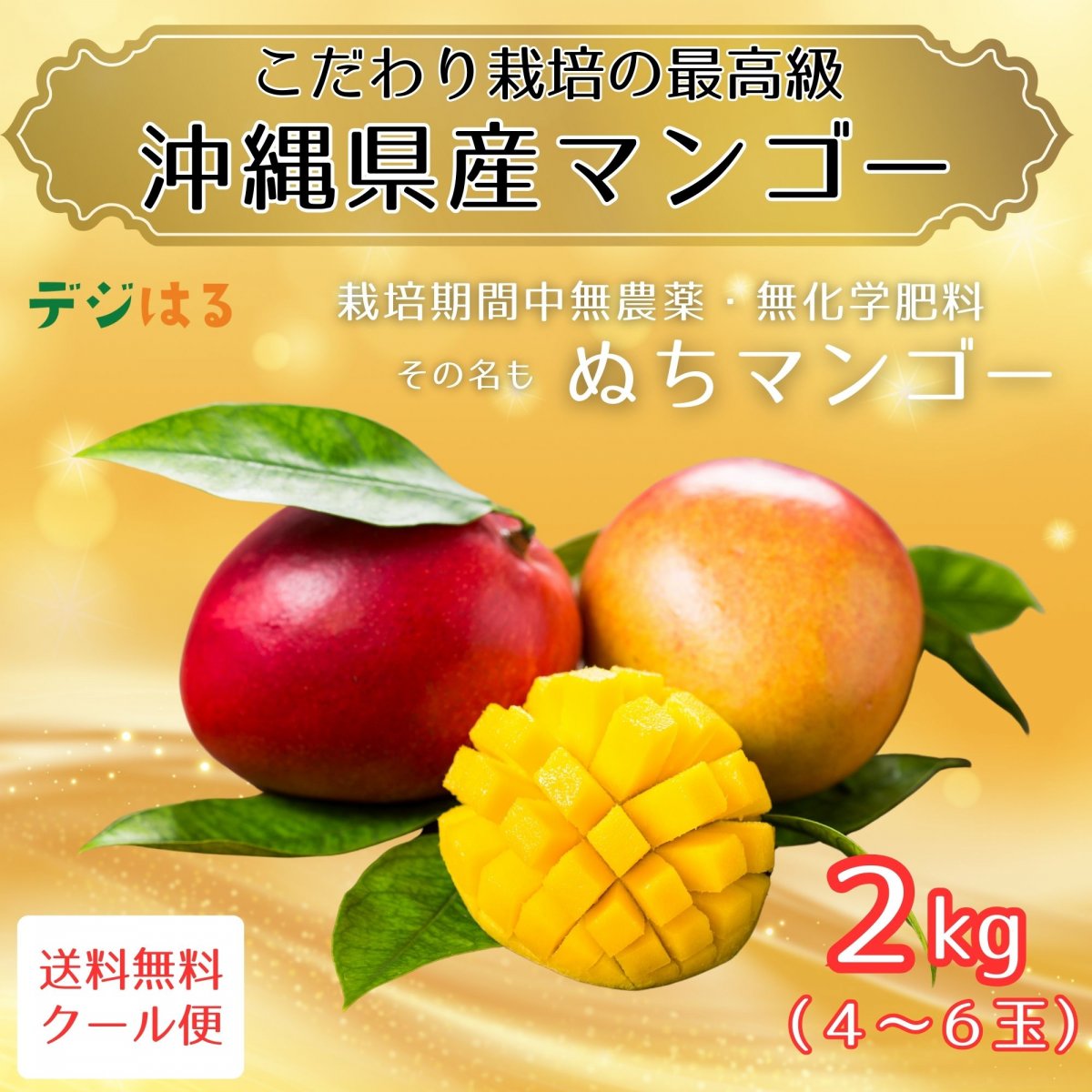 特集商品画像
